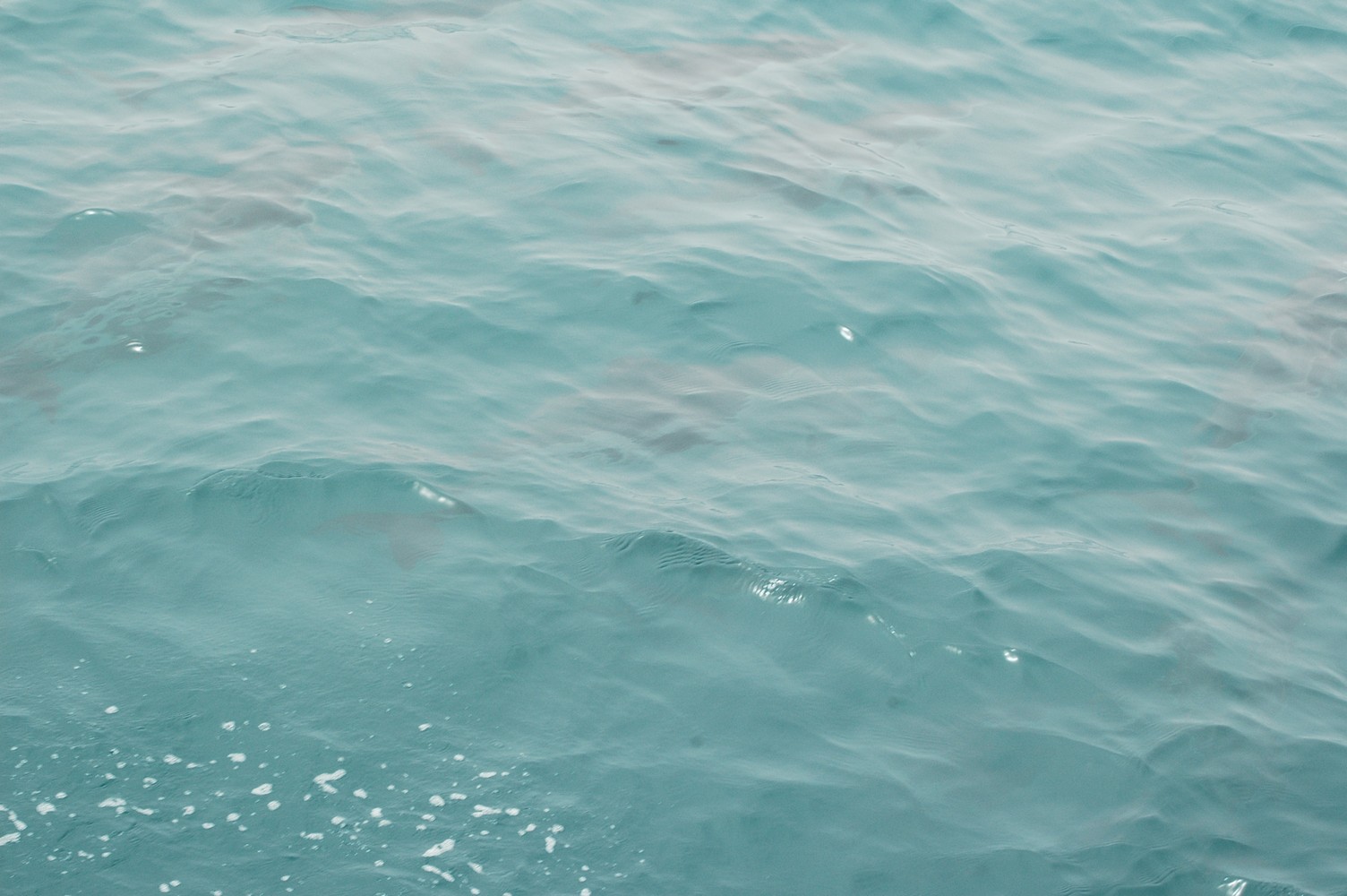 179   30 01   Kaikoura